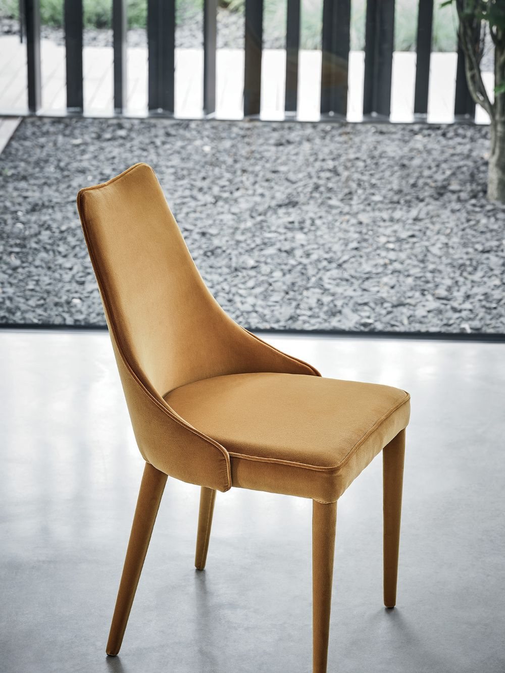 Clara Product Image