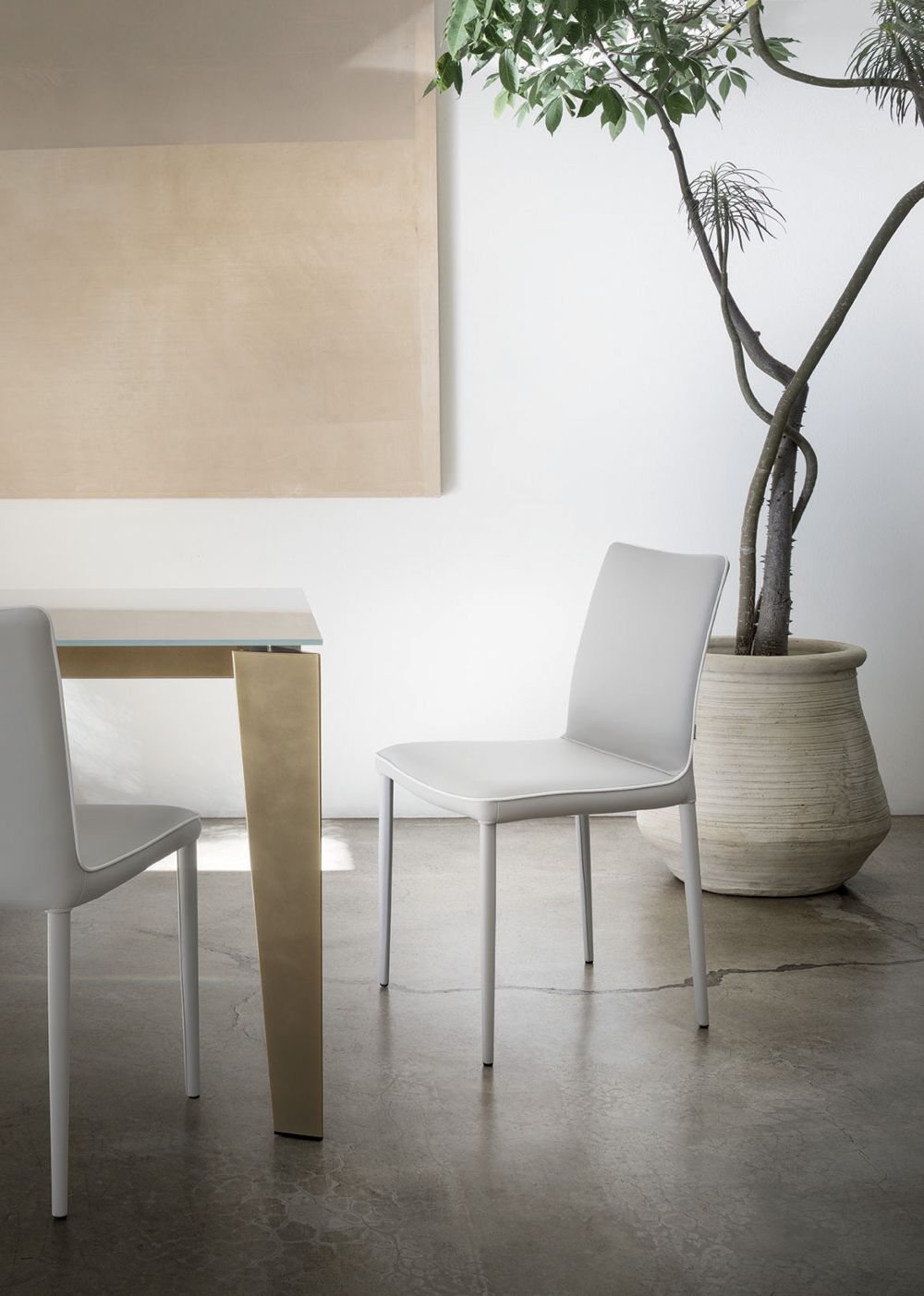 Nata Product Image