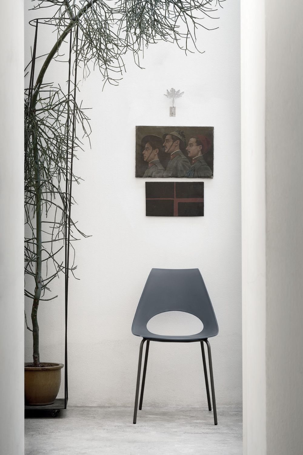 Shark Product Image