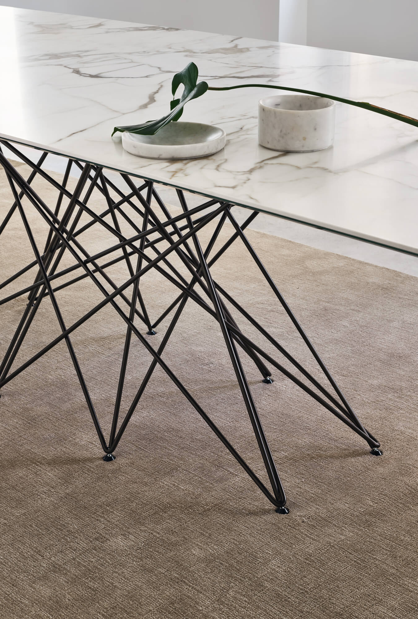 Octa Product Image
