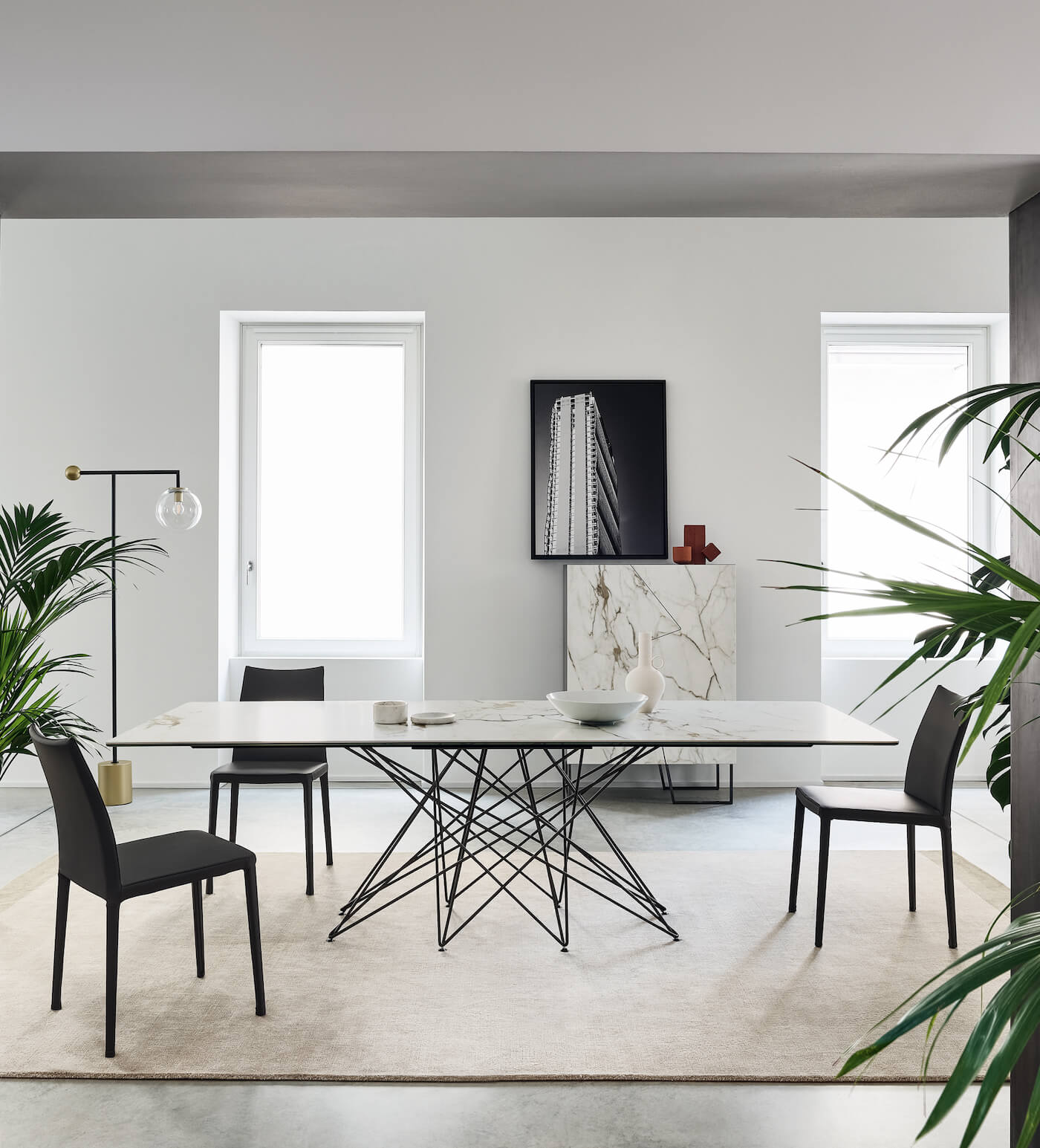 Octa Product Image