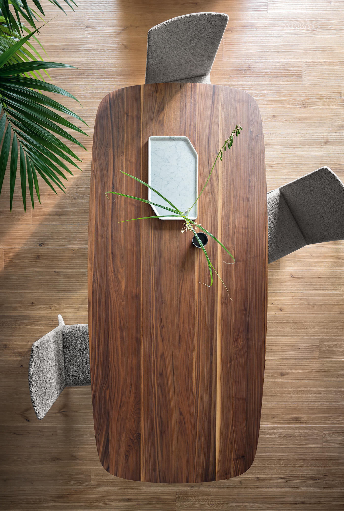 Octa Product Image