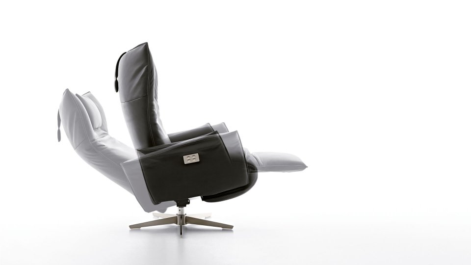 Swan Product Image