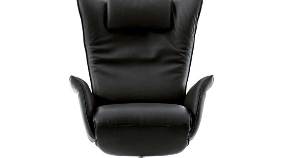 Swan Product Image