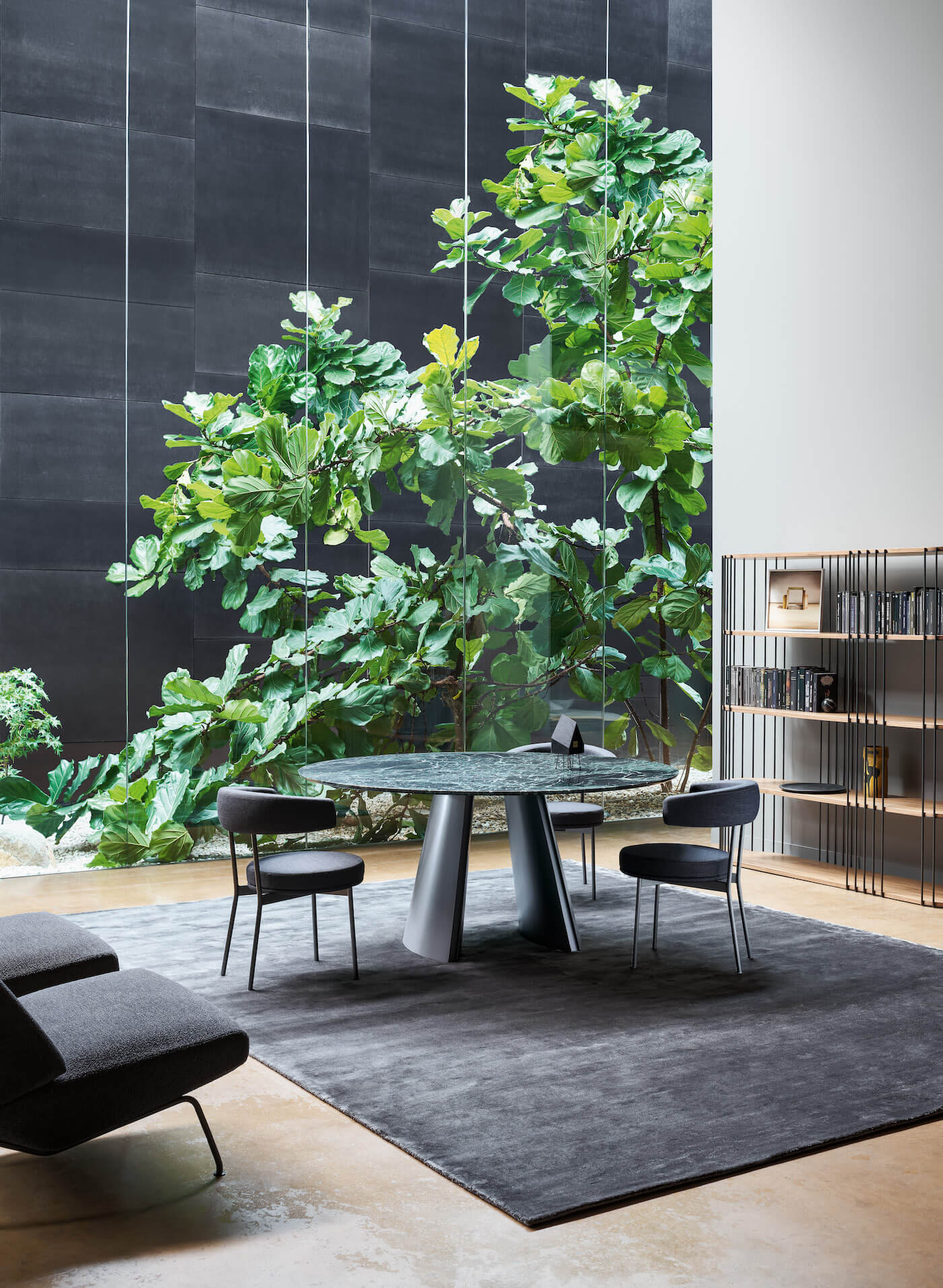 Torrii Product Image